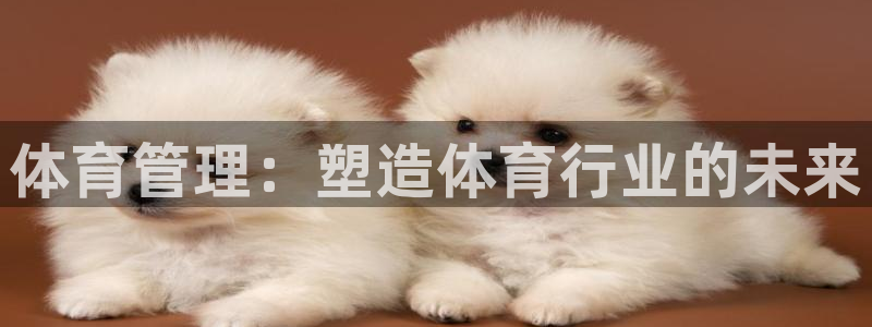 Bsport体育app必一