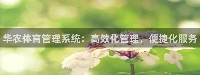 必一运动验证码