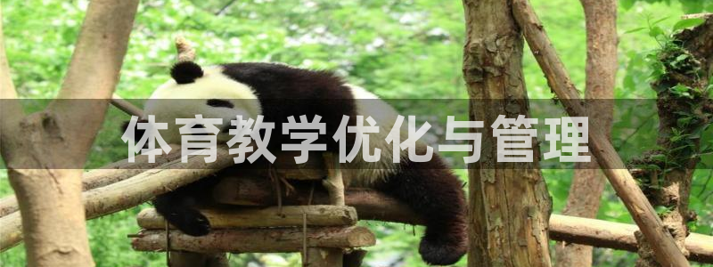 必一体育是哪里的台子