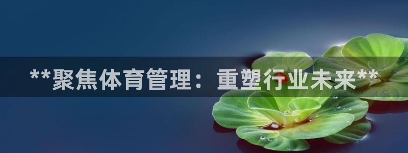 必一体育APP