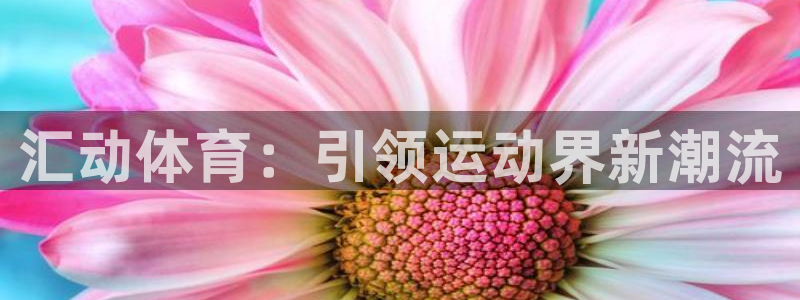 必一运动bsport