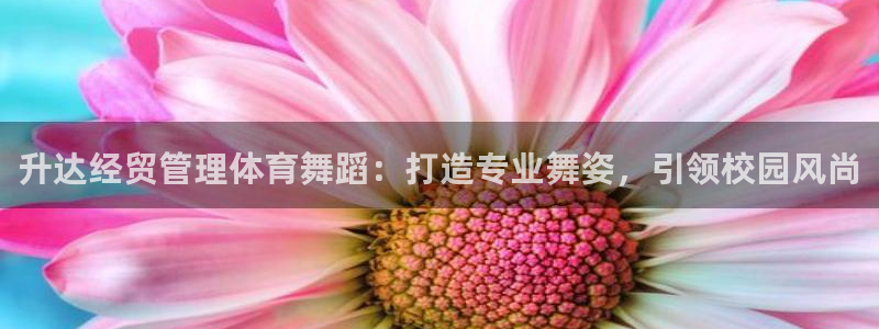 必一体育在线官网：升