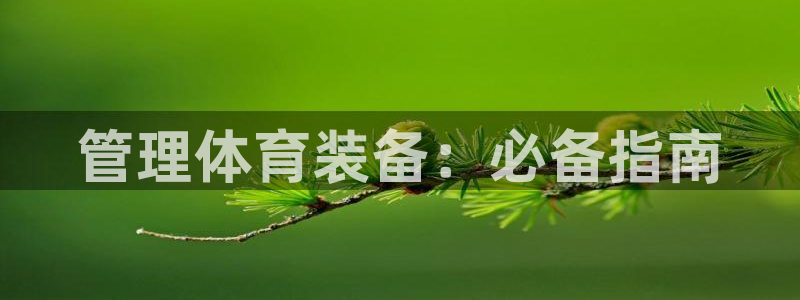 必一体育下载一样吗
