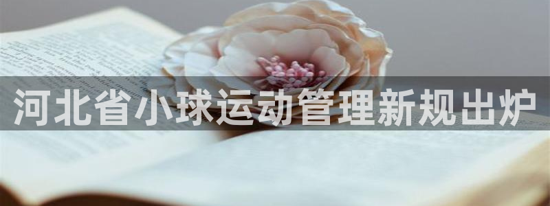 必一体育合法吗
