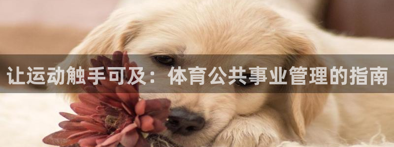 必一运动官网登录入口