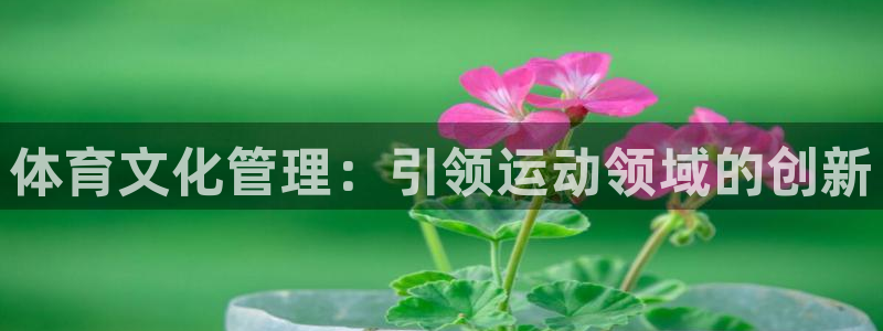 必一体育手机下载：体