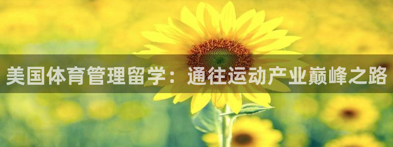 必一体育在线登录