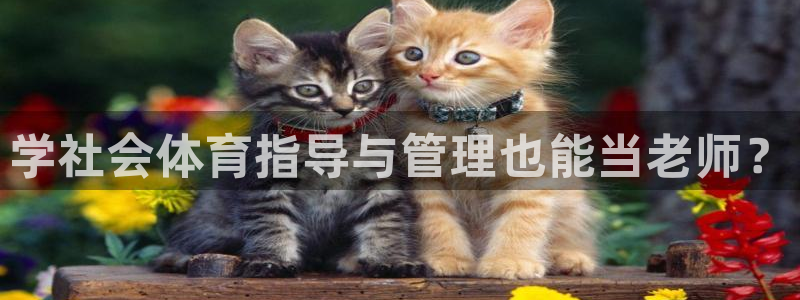 必一体育app下载装机吧