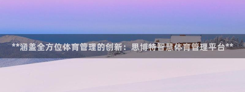 必一体育bsport