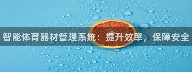 必一运动体