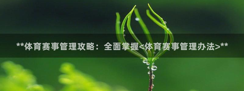 必一体育登录入口APP