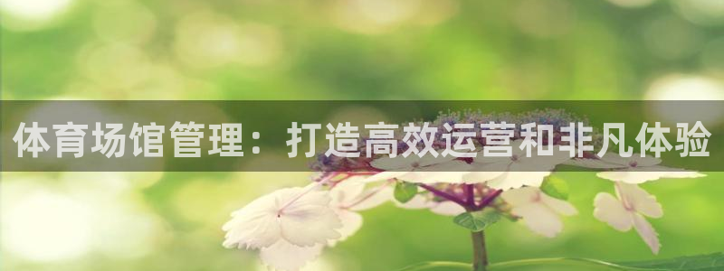必一体育登录：体育场