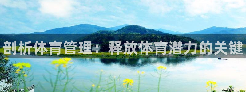 必一体育网站：剖析体