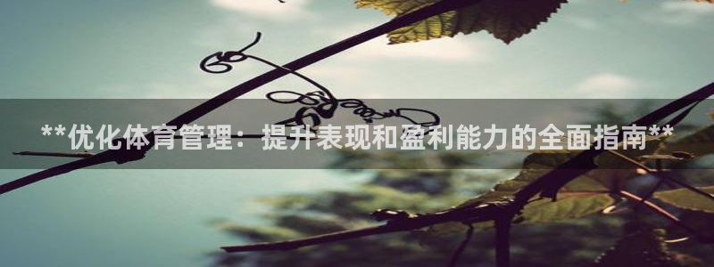 必一运动体：**优化