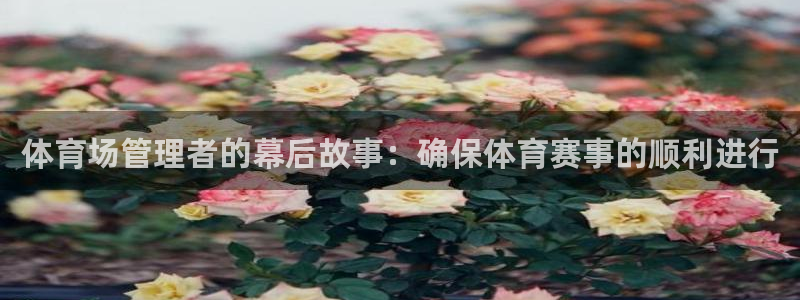 必一体育下载一样吗