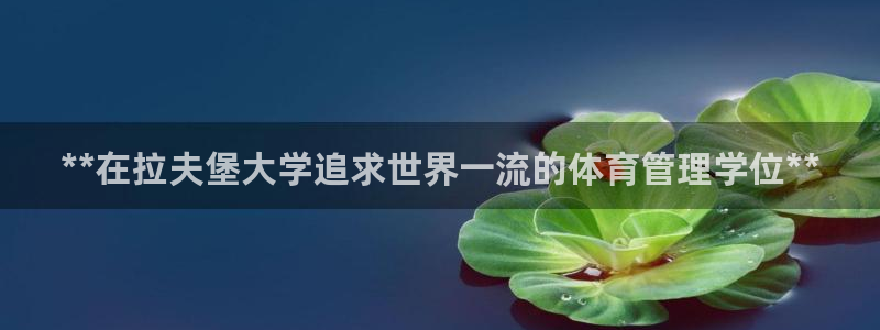 必一体育验证码：**