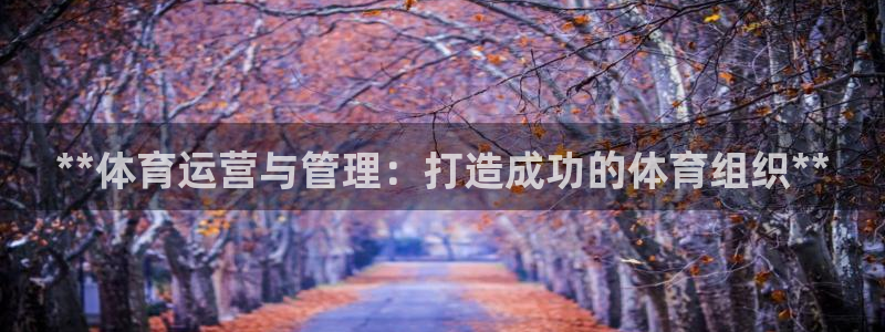 必一体育app下载最