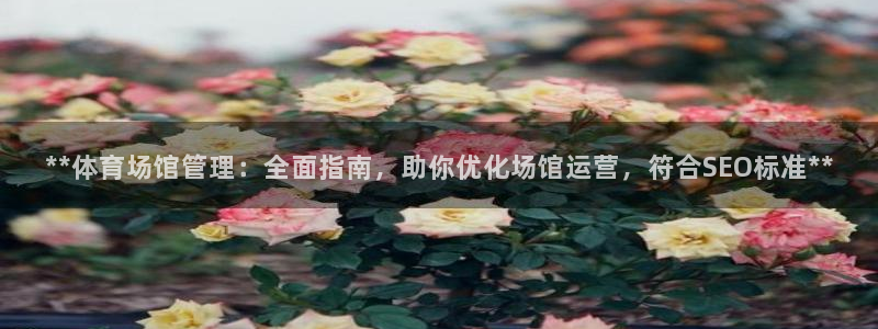 必一体育app官方：