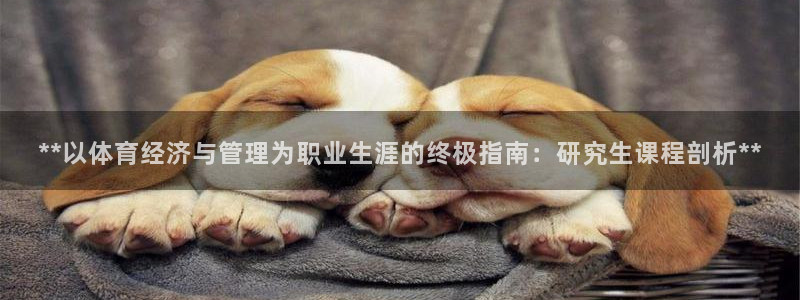必一体育sport官