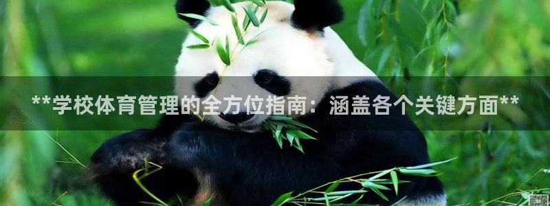 必一体育app下载：