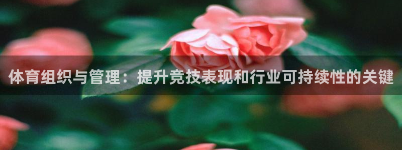 必一运动官网：体育组