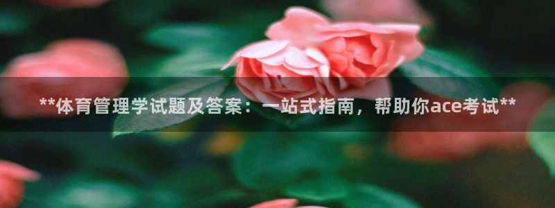 必一运动听的歌：**