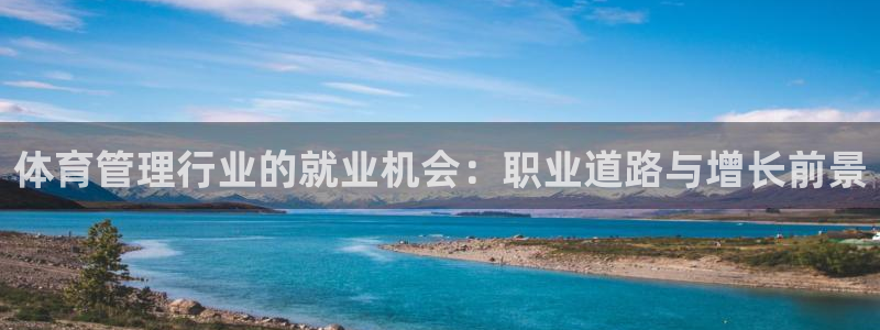 必一体育电子app：