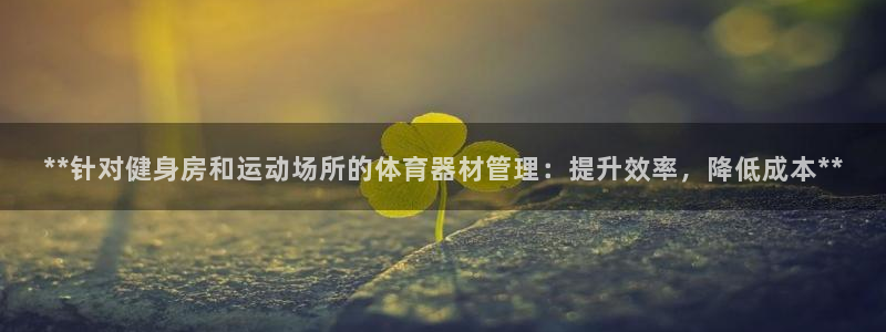 必一体育sport下