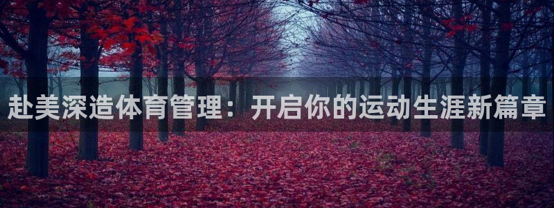必一运动体：赴美深造