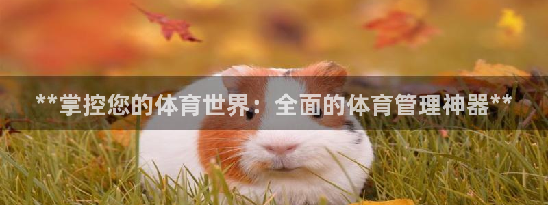 必一运动·(B-Sports)土豆