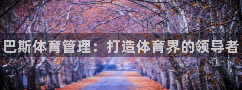 必一运动官网装机吧：