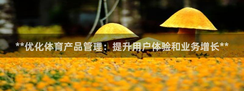 必一体育全站在线登录入口