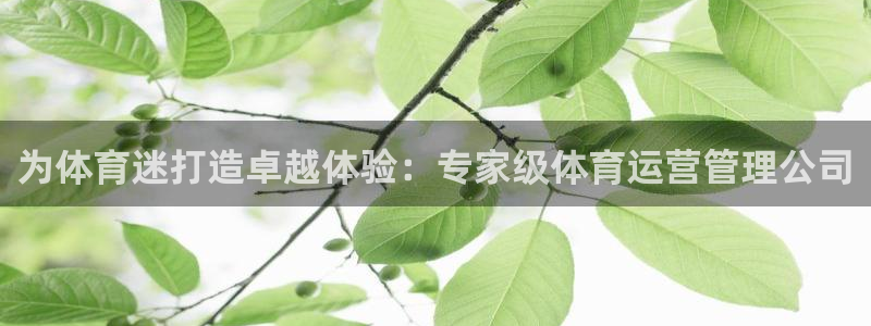 必一体育运动官网：为