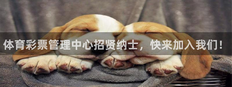 必一体育在线玩：体育