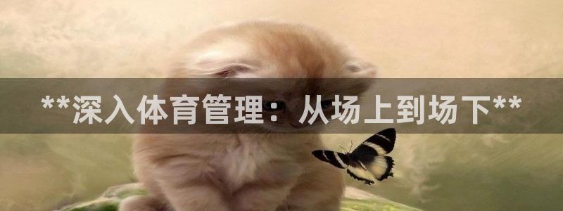 必一体育运动平台官网