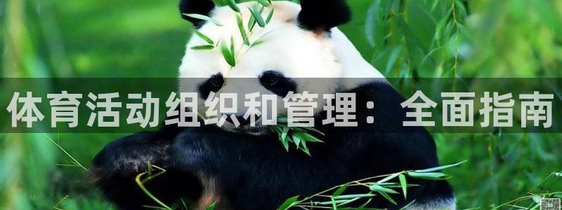 必一体育APP