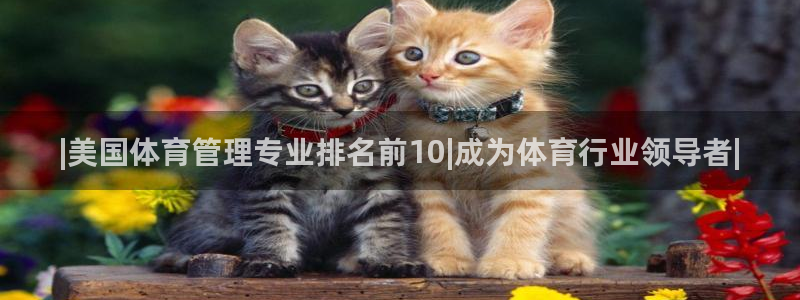 必一运动 b 体育素