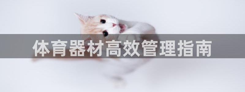 必一体育app平台下载