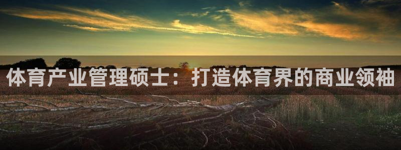 必一运动官网入口：体