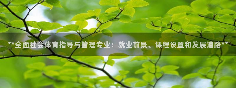 必一体育在线官网：*