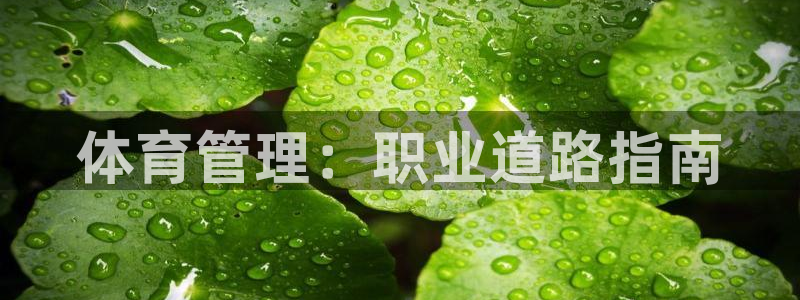 必一运动·(B-sp