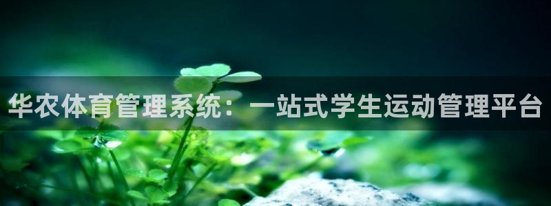 必一体育在哪下