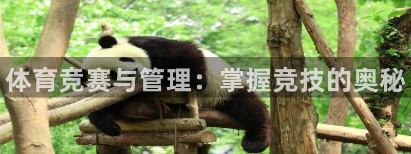 必一体育app官方