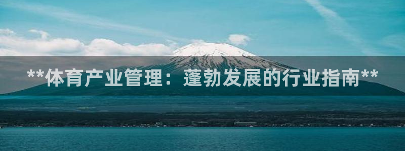 必一体育最新官网入口