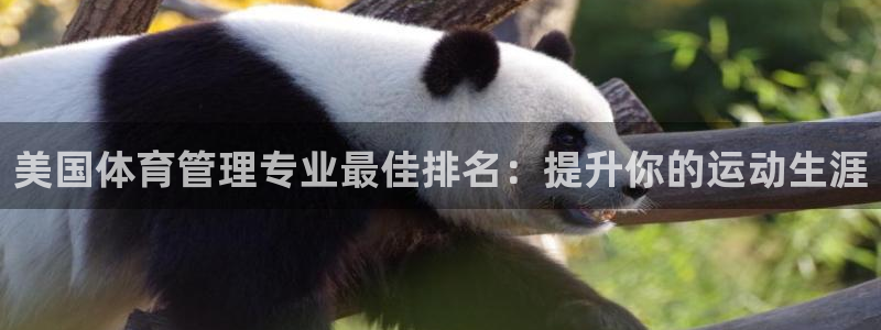 必一体育app平台下