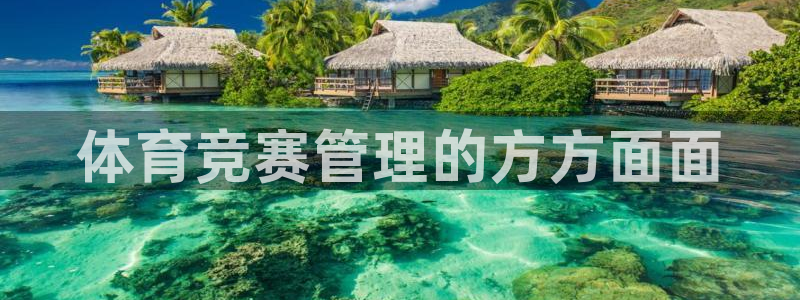 必一体育sport下