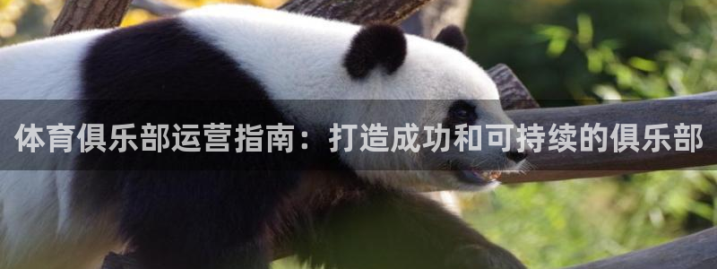 必一运动·(b-sports)官方网站