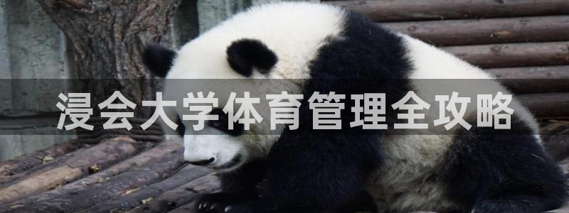 必一运动体育官网