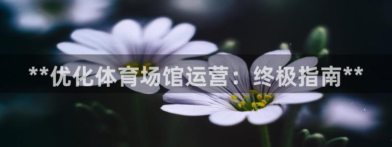 必一体育登陆：**优
