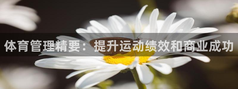 Bsport体育必一